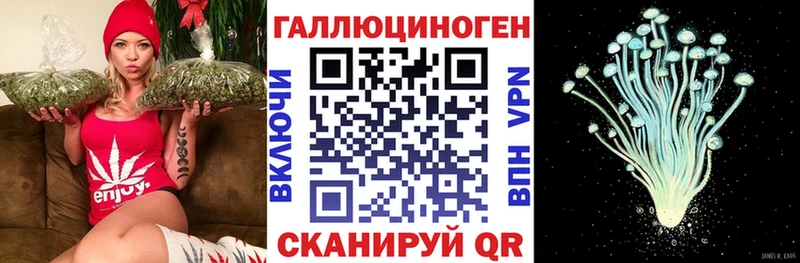наркотики  Куртамыш  Галлюциногенные грибы Magic Shrooms 