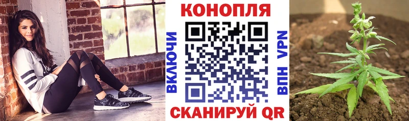 Шишки марихуана планчик сколько стоит площадка Telegram Куртамыш